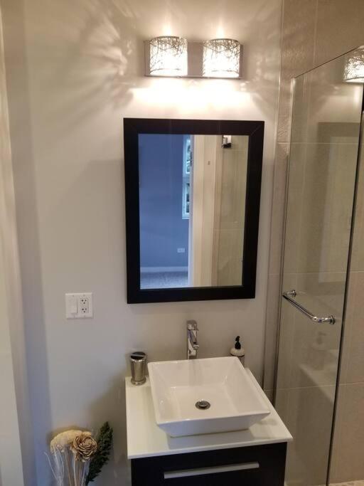 Nice And Cozy. Sleeps 5. Lägenhet Chicago Exteriör bild